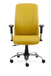 Orthopedic Office Chair – Sleek Comfort Meets Superior Support