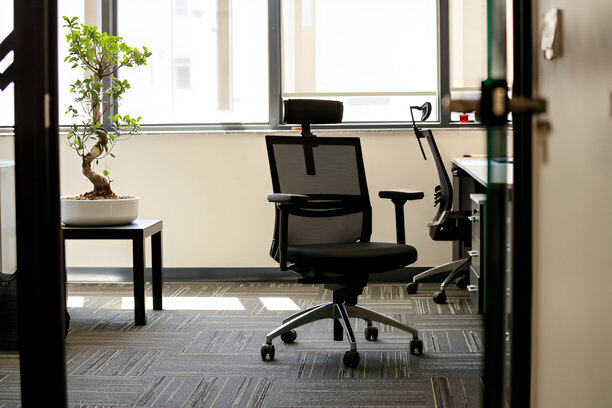 Flexon Ergonomic office chair