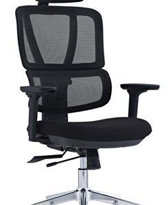 Flexon ergonomic office chair with adjustable lumbar support and mesh backrest