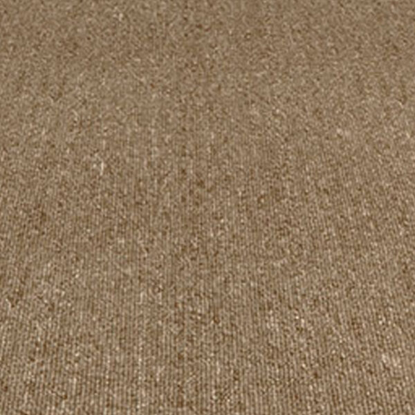 Comfortable and durable Delta Carpet in modern living room